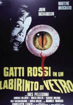 Gatti rossi in un labirinto di vetro