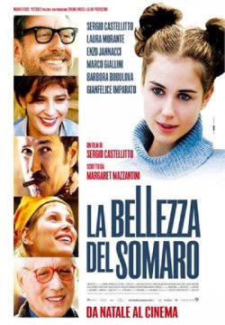 La Bellezza Del Somaro