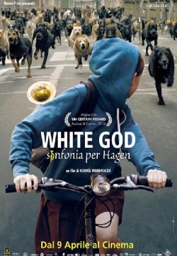 White God - Sinfonia per Hagen