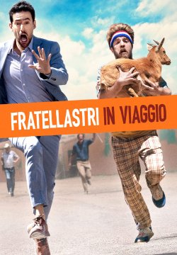 Fratellastri in viaggio