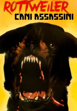 Rottweiler - Cani assassini